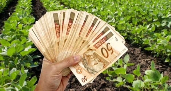 Governo abre crédito de R$ 12 bilhões para produtores rurais 