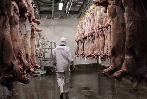 Governo do Estado lança programa de regularização de débitos de ICMS de quase R$ 1 bilhão para frigoríficos