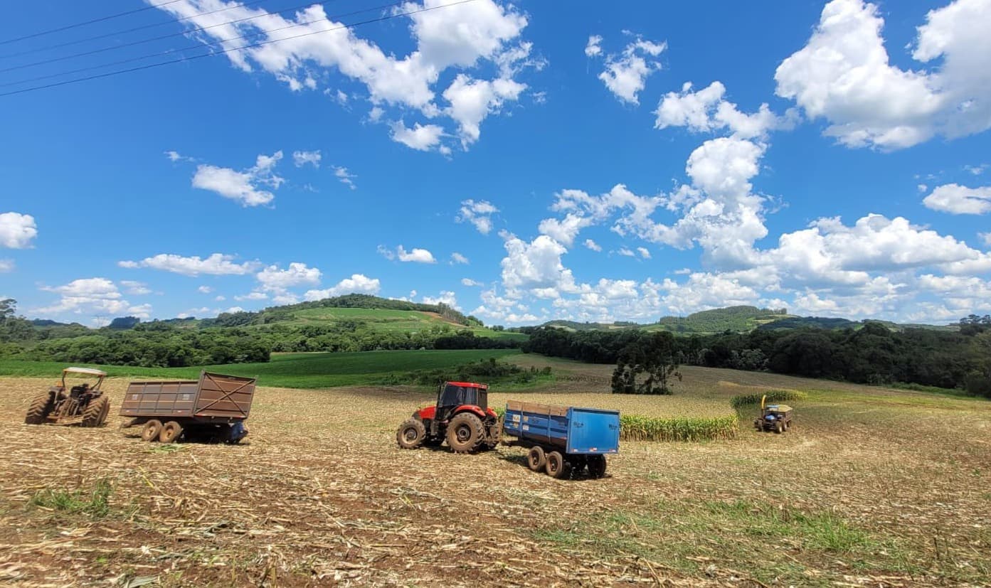 Prefeitura de Novo Tiradentes amplia apoio na produção de silagem e atende produtores rurais