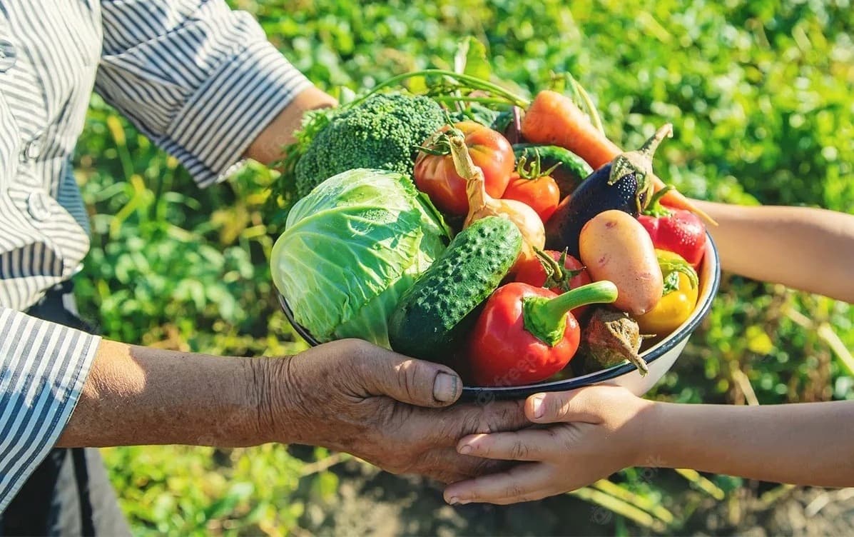 Lista de desconto em crédito para a agricultura familiar é ampliada