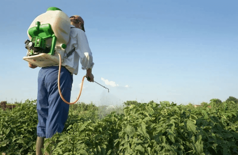 Comitê lista ações prioritárias para Programa de Redução de Agrotóxico