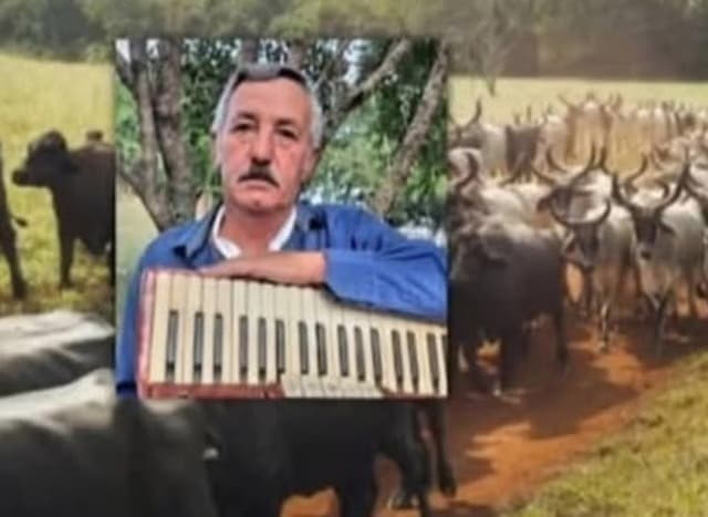 Agricultor morre ao ser atacado por uma vaca no interior do RS