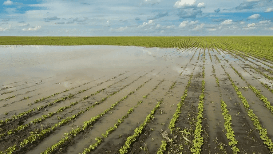 Previsão indica El Niño de forte intensidade com chuvas acima da média no Sul e alerta aos produtores