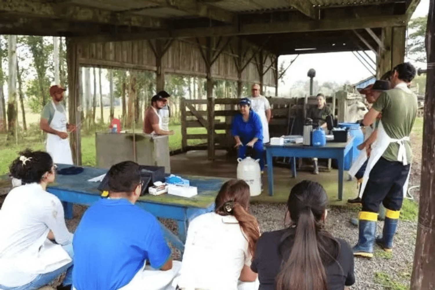 Emater/RS-Ascar abre inscrições para cursos de qualificação a produtores rurais