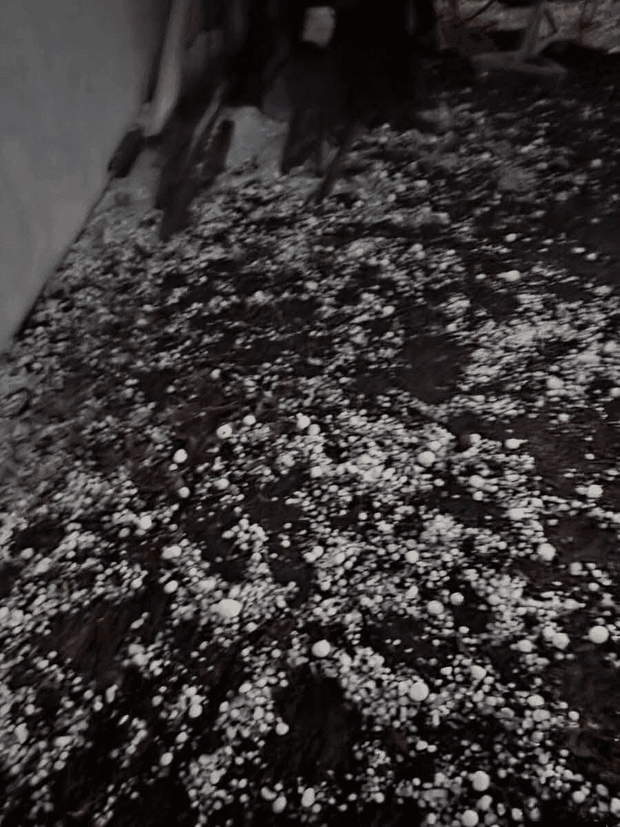 Imagem 3
