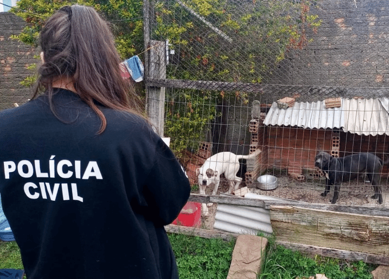 RS amplia rede especializada no combate aos maus-tratos de animais