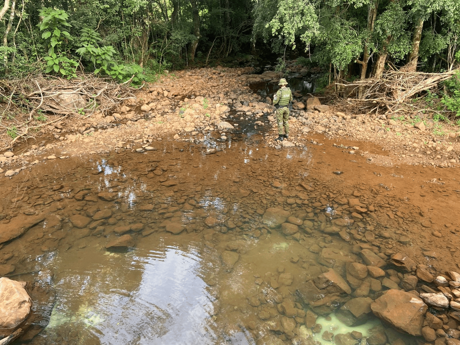 Batalhão Ambiental flagra poluição hídrica e mortandade de peixes em Frederico Westphalen
